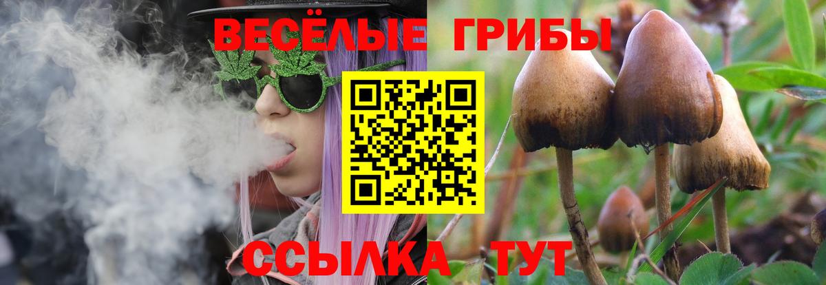 Галлюциногенные грибы Magic Shrooms Новокуйбышевск