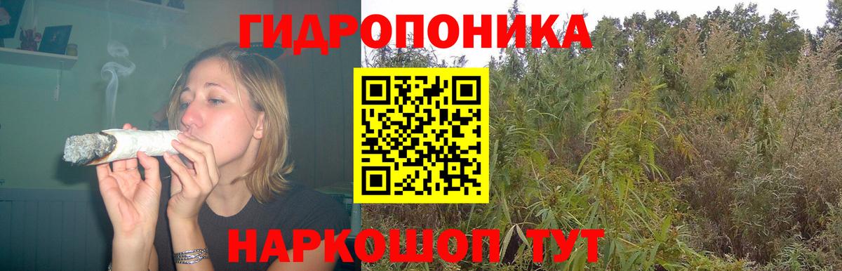 Канабис семена Новокуйбышевск
